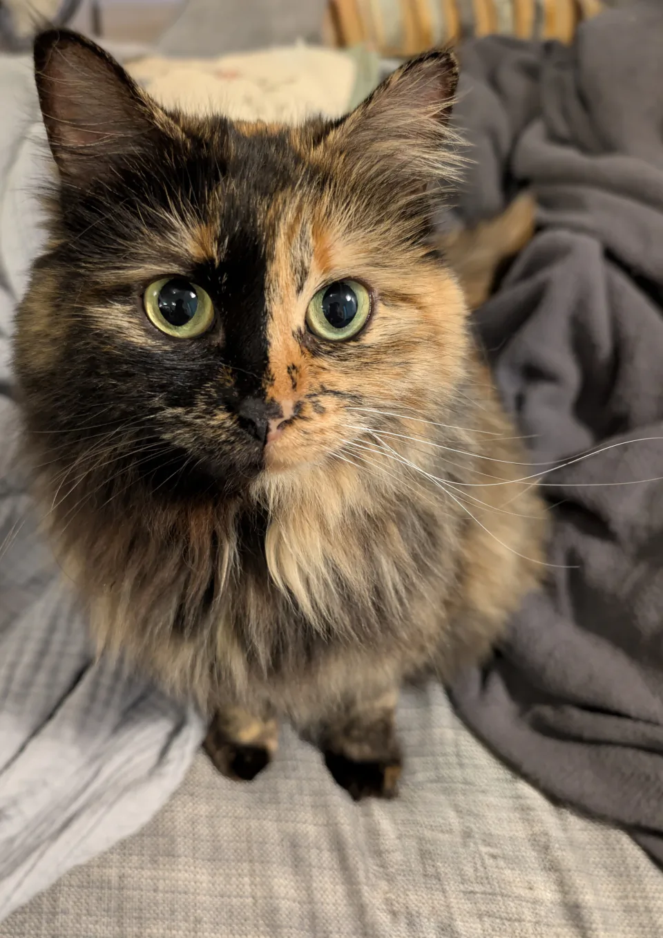 Lady Flufferton